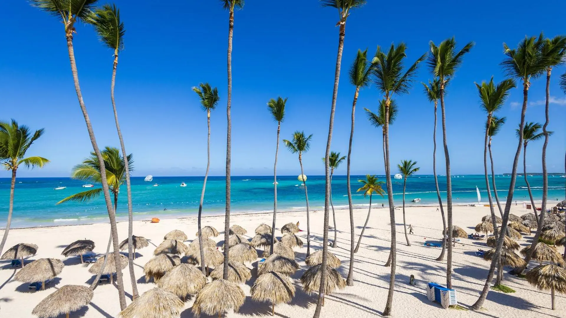 Dream Punta Cana Beachfront Apartment - 4-Bedroom Penthouse With Rooftop Bbq & Ocean Views